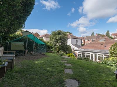 Picture 25